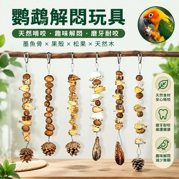 寵物用品 鸚鵡解悶玩具鸚鵡玩具啃咬玩具訓練磨牙解悶墨魚骨牡丹玄鳳鸚鵡專用玩具大全 鳥玩具 toy 墨魚骨 鸚鵡 鸚鵡訓練