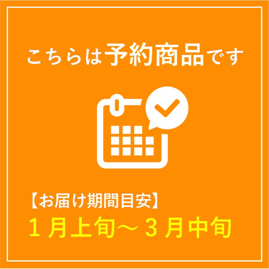 いよかん 伊予柑 家庭用 9kg 愛媛県産みかん みかん 柑橘類 予約商品