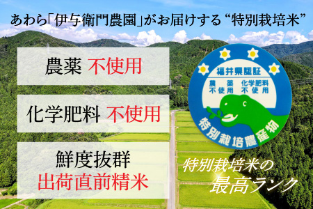 《定期便6回》コシヒカリ 精米 5kg（計30kg） 特別栽培米 化学肥料不使用  ＜温度と湿度を常時管理し新鮮米を出荷！＞   伊与衛門農園の特別栽培米 高品質 鮮度抜群 福井県 あわら市産 ブランド米 R6 新米 北陸 白米 お米 ご飯 ※2024年9月下旬より順次発送予定