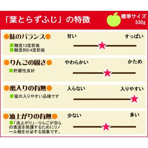 葉っぱの影は甘さのサイン家庭用(5-9玉) 青森 送料無料 [※産地直送のため同梱不可]「GOLD」