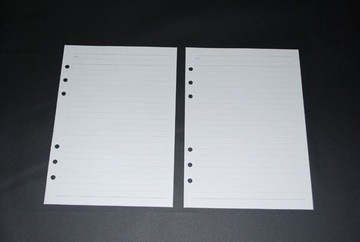 鼎盛 361-40K-6孔內紙 10.9x18.8cm 12本入 /包
