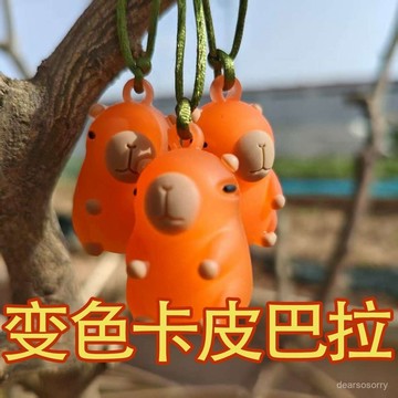 臺灣有貨⚡網紅可愛變色卡皮巴拉鑰匙扣吹泡泡卡通公仔掛件車載汽車水豚禮品 HKNE
