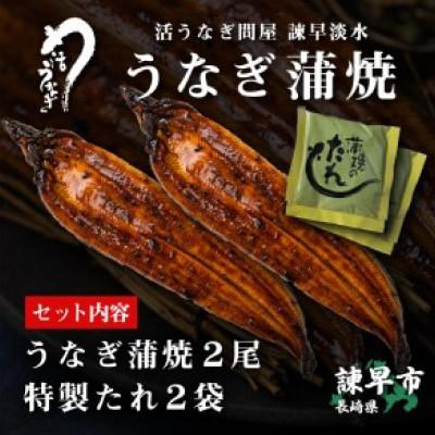 ふるさと納税 諫早市  うなぎ蒲焼2尾