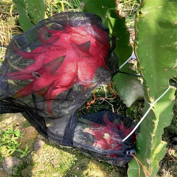 紗網袋 水果套袋 防蟲網 火龍果套袋套果袋葡萄套袋水果套袋防果蠅防蟲防鳥袋尼龍網袋『ZW4864』
