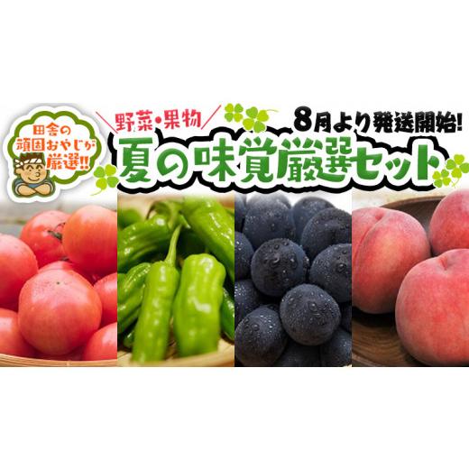 ふるさと納税 茨城県 つくばみらい市 夏の味覚（野菜・果物）厳選セット田舎の頑固おやじが厳選！