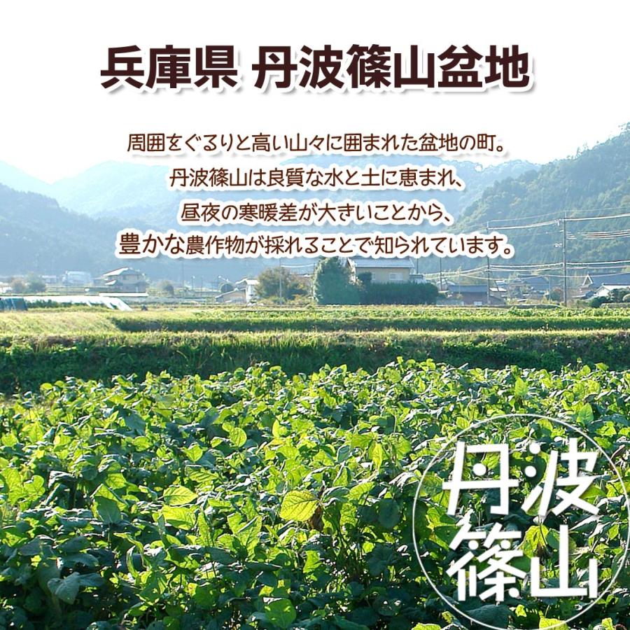 丹波 黒豆 黒大豆 生 豆 おせち 丹波の黒豆 丹波篠山産 兵庫県 令和4年 新豆 500g