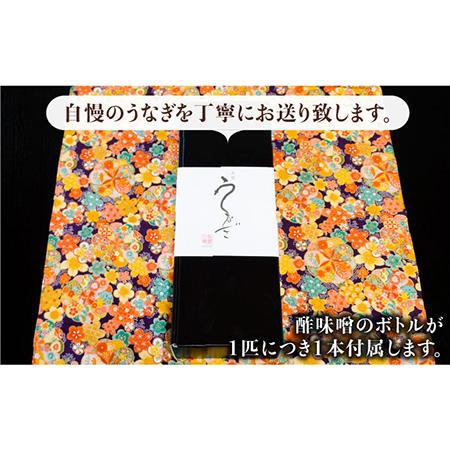 ふるさと納税 ふっくらジューシーのこだわりうなぎ国産うなぎの白焼 6枚セット×3回 吉野ヶ里 丸安 ウナギ 鰻 白焼 国内産.. 佐賀県吉野ヶ里町