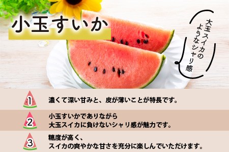 日を分けて2度楽しめる！小玉すいか・おすすめメロン 2種セット(2玉入)   あわら 期間限定 果物 フルーツ 産地直送 青肉 赤肉 スイカ 小玉スイカ 人気 ※2024年6月下旬より順次発送