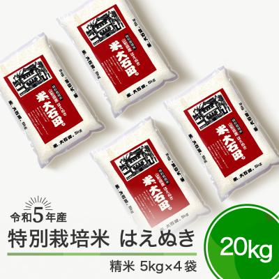 ふるさと納税 大石田町 令和5年産 新米 はえぬき 20kg 山形県大石田町産 特別栽培米 精米