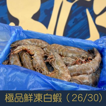 【就是愛海鮮】海之最極品鮮凍白蝦(26/30)550g±10%如缺貨出同規格不同包裝 [量大可配合批發/團購]