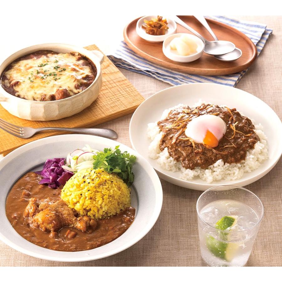 ギフト 2023 博多華味鳥 カレーセット 9食入 送料無料