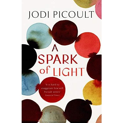 A Spark of Light: THE NUMBER ONE SUNDAY TIMES BESTSELLER