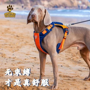 新款狗狗胸背帶背心式背帶金毛拉布拉多狗胸背牽引繩大型犬