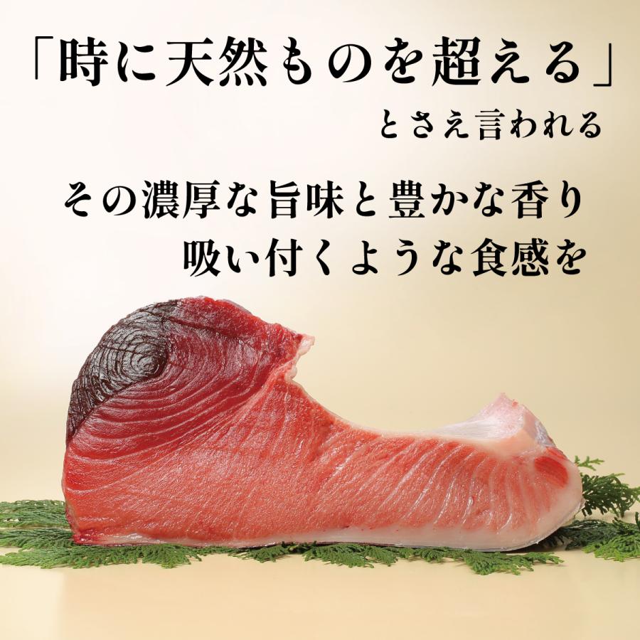 生本マグロ（だてまぐろ）中とろ200ｇ柵（さく） 鮪 伊達マグロ 海鮮 刺身 ギフト 国産 冷蔵 チルド クロマグロ