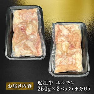 近江牛 ホルモン 500g (250g×2)  黒毛和牛 小分け 牛肉 肉 ギフト 焼肉 焼き肉 自宅用 高級 黒毛和牛 国産 ふるさと納税 ブランド牛 三大和牛 和牛 冷凍 贈り物 内祝い 神戸牛 松阪牛 に並ぶ 日本三大和牛 滋賀県 竜王町 澤井牧場