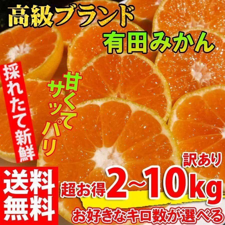 みかん 2kg~10kg 訳あり ブランド 和歌山 有田みかん ありだみかん 農家直送 ギフト お歳暮 温州みかん フルーツ 果物