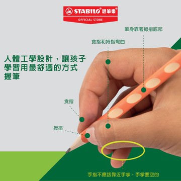 【STABILO思筆樂】EASYgraph洞洞鉛筆 (單支) 粗三角鉛筆 洞洞筆 人體工學 2B/B/HB 買2送1筆蓋