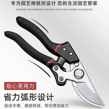 ✨限量搶購✨德國進口修枝剪剪樹剪子強力果樹家用葡萄修剪專用花木SK5大全