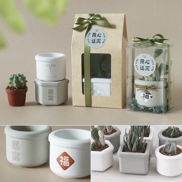 多肉水泥盆【植物禮盒】可另加購客製雷雕 UV轉印 | 需自行組裝