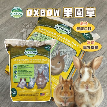 Oxbow 果園草 40oz 天竺鼠 兔子 龍貓 牧草 飼料 香甜可口 高纖維 助消化 磨牙必備【亞米屋Yamiya】