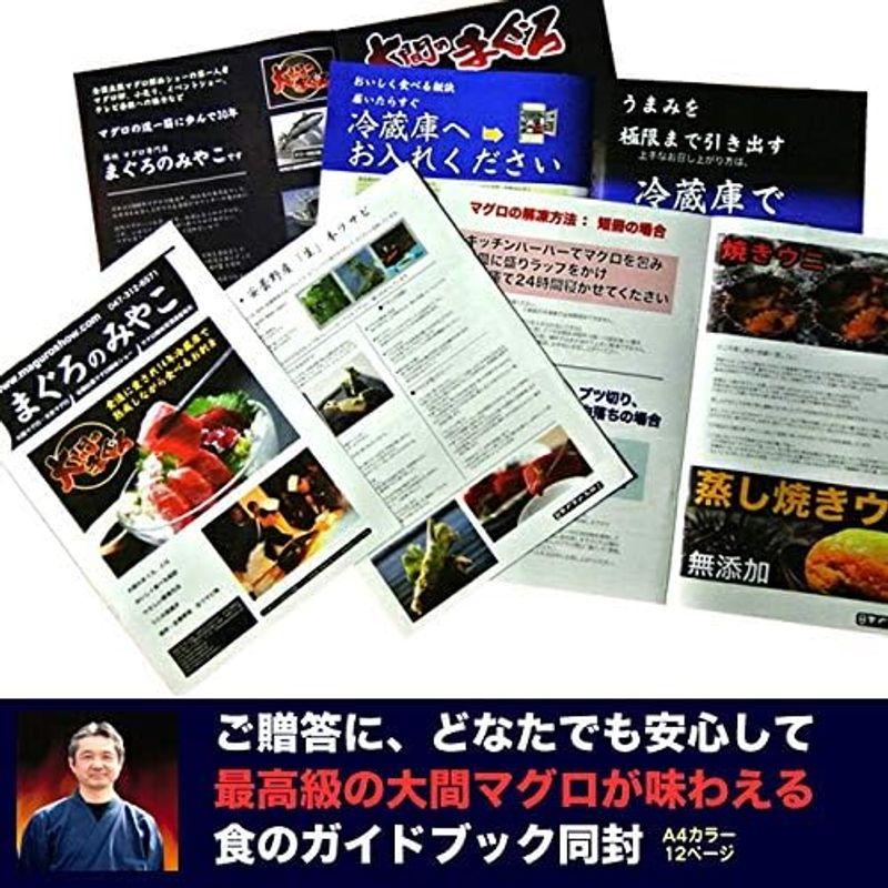 大間のマグロ 天然 本マグロ 大トロ＆中トロ＆赤身セット 計600g 冷蔵お届け