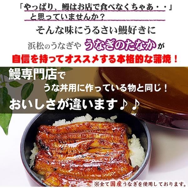 お歳暮 ギフト 2023 国産 うなぎ 蒲焼き お祝い お試し 誕生日 通販 ランキング 贈り物 鰻2本 プレゼント 土用の丑の日 お年賀 御歳暮 御年賀 簡易箱 Gset03