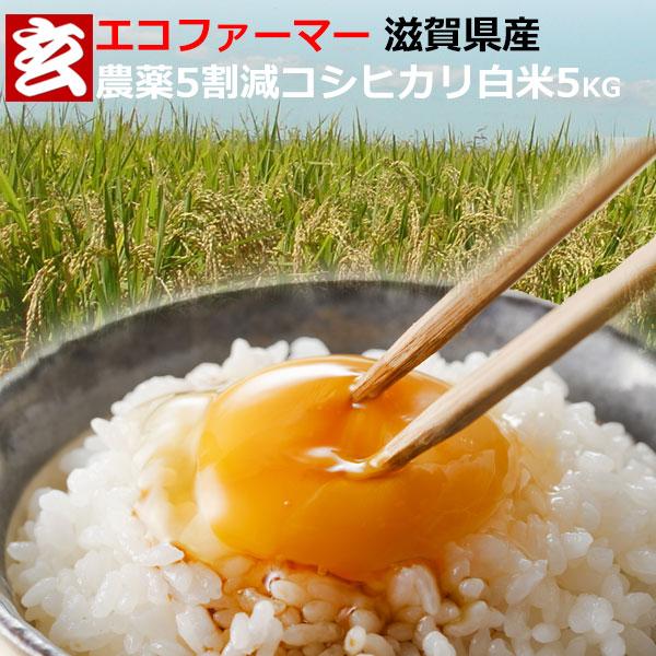 新米 米 5kg 送料無料 農薬5割減 滋賀県産 コシヒカリ 白米5kg 産年：令和5年産