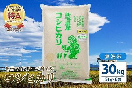 令和5年産 お米マイスターが育てた上越産コシヒカリ30kg(5kg×6)無洗米　精米