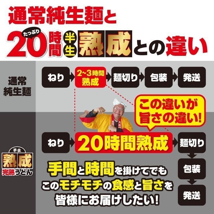 20時間熟成  半生 極太 讃岐うどん つゆ付きセット 便利な個包装 750g 送料無料 最安値挑戦 得トクセール 特産品