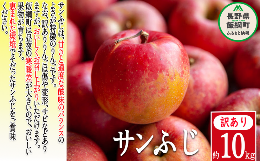 りんご 葉とらず サンふじ 訳あり 10kg かざまファーマー 沖縄県への配送不可 2023年11月中旬頃から2024年3月中旬頃まで順次発送予定 令和5年度収穫分 傷 不揃い リンゴ 林檎 果物 フルーツ 信州 長野 15000円 予約 農家直送 長野県 飯綱町 [0258]