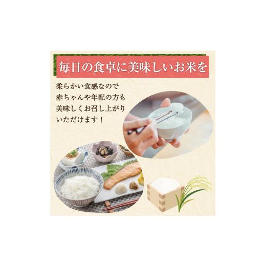 ふるさと納税 福岡県 添田町 令和5年産 福岡県産 米 食べ比べ＜白米＞セット「夢つくし」と「元気つくし」2種類 計20kg入り [a0261] 株式会社 ゼロプラス 【返…