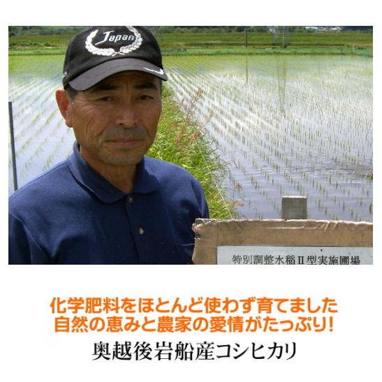 無洗米 農薬低減米 コシヒカリ 2kg 米 お米   低農薬 新潟 岩船産 令和5年産 新米   人気 おいしい 新潟米 こしひかり 送料無料