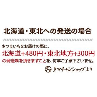 安納芋 ＆ 紅はるか 鹿児島県産 高糖度 お芋セット 合計2kg 詰め さつまいも サツマイモ お芋 送料無料