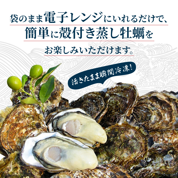 やながわ自慢！ 殻付き 牡蠣 16個(瞬間冷凍)＜マルサ・やながわ水産有限会社＞江田島市 [XBL012]