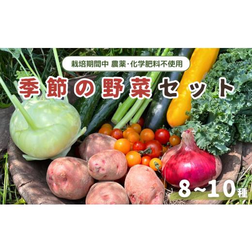ふるさと納税 千葉県 我孫子市 季節の野菜セット (8~10種)
