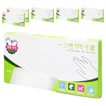 一次性TPE手套 100入/盒  L  白色透明  6盒