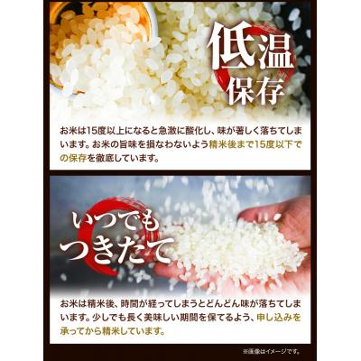 ふるさと納税 当別町 特Aランクななつぼし　単一農家の美味しいお米5kg