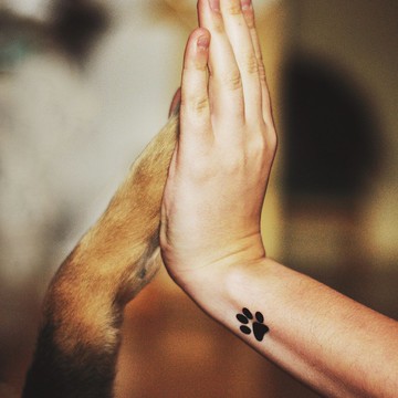 OhMyTat 小動物爪子印 Animal Paw 刺青圖案紋身貼紙 (4 張)