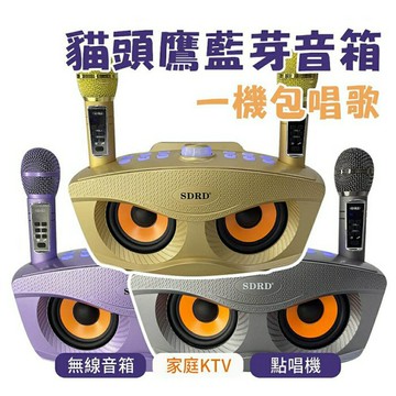 SD306plus 貓頭鷹藍牙音箱 無線麥克風 K歌一體機 音響 家庭KTV機