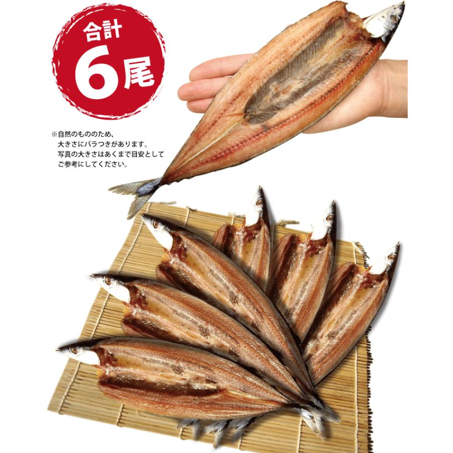 さんま 干物 6枚 サンマ 秋刀魚 干物セット 一夜干し 一夜干し魚 一夜干しセット ((冷凍)) 条件付送料無料