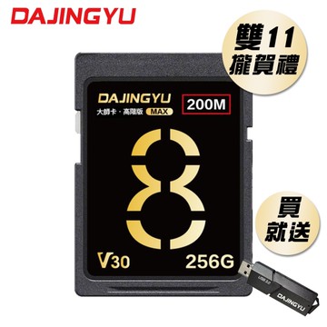 大鯨魚 256GB SDXC UHS-I V30 SD卡 200MB/s 大師Max系列 頂級記憶卡 雙 11 攏賀禮