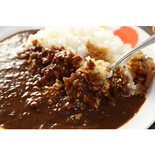 『オリジナルカレー10個』と『やわらかカツ丼の具（ヒレ肉仕様）』2個　合計12個セット 牛丼