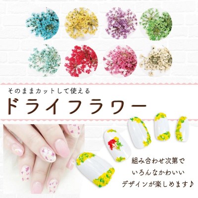 12色セット ジェルネイル 押し花ジェル  ネイルアート 花柄 ドライフラワー