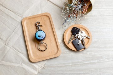 i好溜 伸縮鑰匙圈 -漸變色系列 / 渲染-蒲公英_AYN7