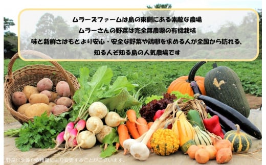 季節の野菜詰め合わせ（7～8種）と平飼い卵セット！農薬不使用だから安心安全！