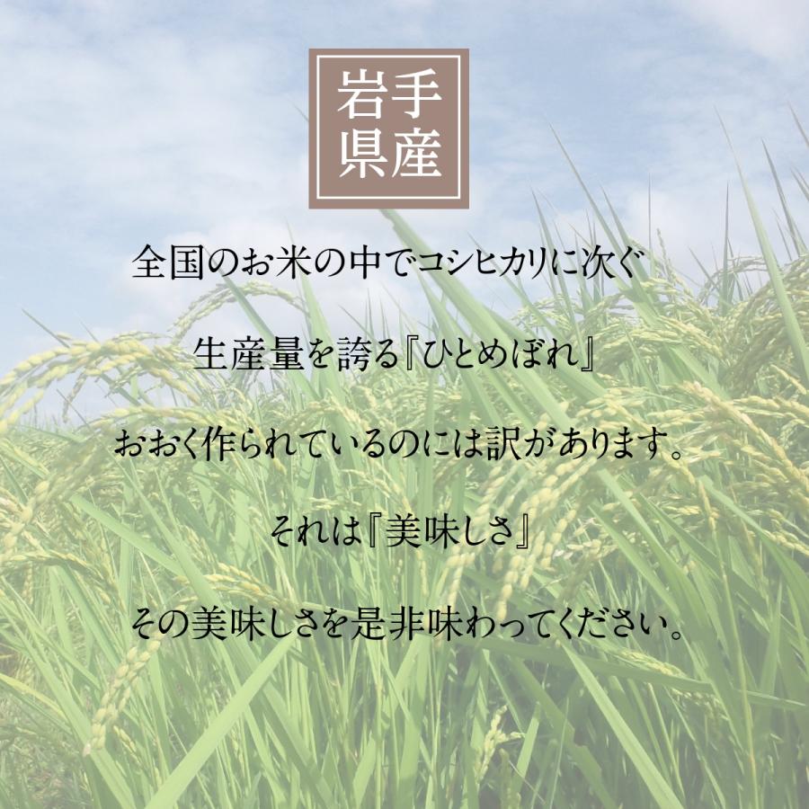 米 新米 令和5年 お米 玄米 送料無料 30kg 岩手県産 ひとめぼれ