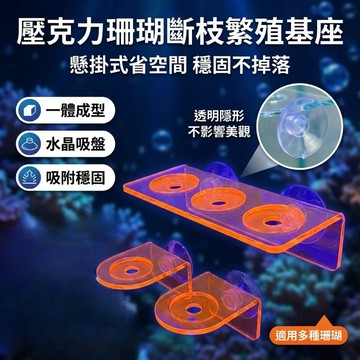 【台灣現貨】 壓克力珊瑚斷枝繁殖基座 珊瑚底座 LPS SPS 生長基座