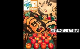 1月発送 訳あり 家庭用 葉とらずサンふじ 約5kg 青森県特別栽培農産物認証農園