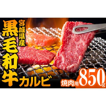 ふるさと納税 宮城県産 黒毛和牛カルビ焼肉用 850g｜国産 牛肉 バーベキュー [0050] 宮城県大郷町