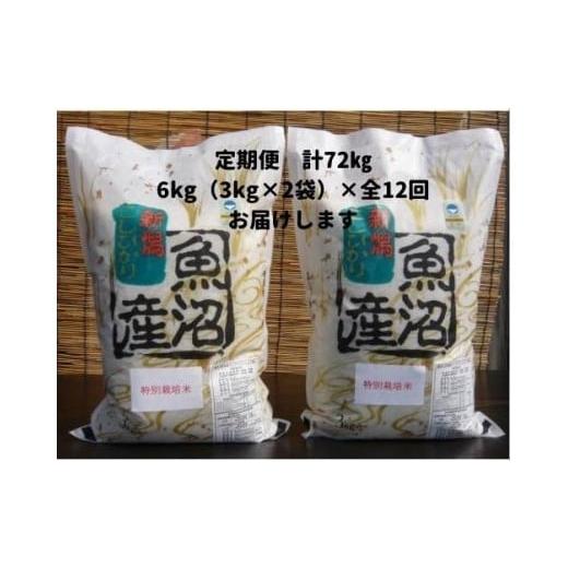 ふるさと納税 新潟県 南魚沼市 令和５年産新米がんこおやじが作った南魚沼産コシヒカリ白米６kg（３kg×２袋）